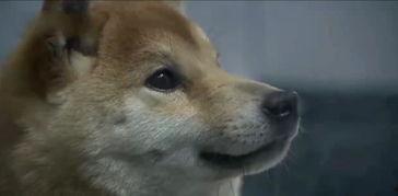 吃瓜热榜 第4页